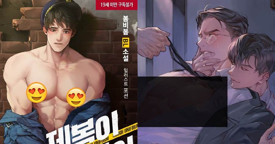 韓國那些一度引起熱潮的小說封面，畫師真的很會畫！你們都看過嗎？